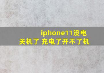 iphone11没电关机了 充电了开不了机